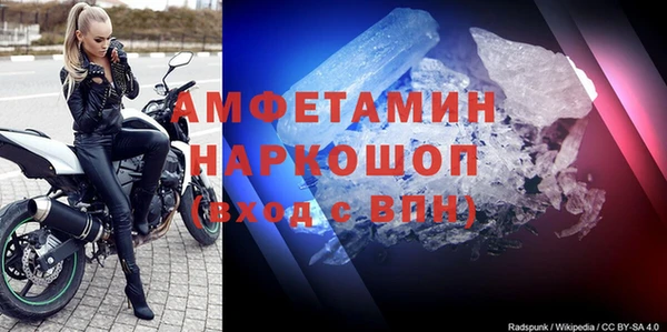 прущие грибы Балахна