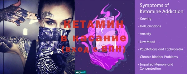прущие грибы Балахна