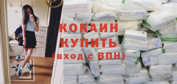прущие грибы Балахна